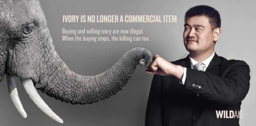 china ivory ban
